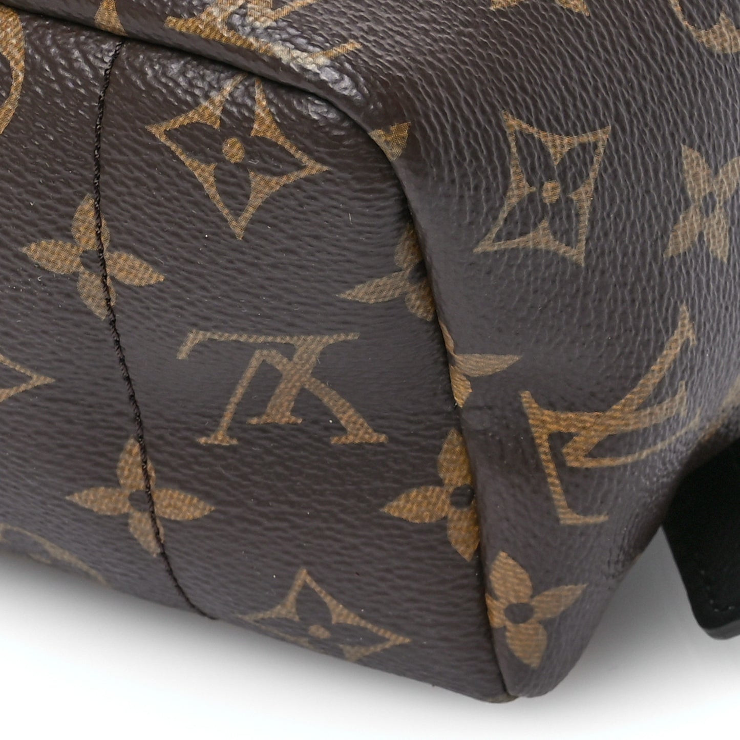 Monogram Palm Springs Backpack MM