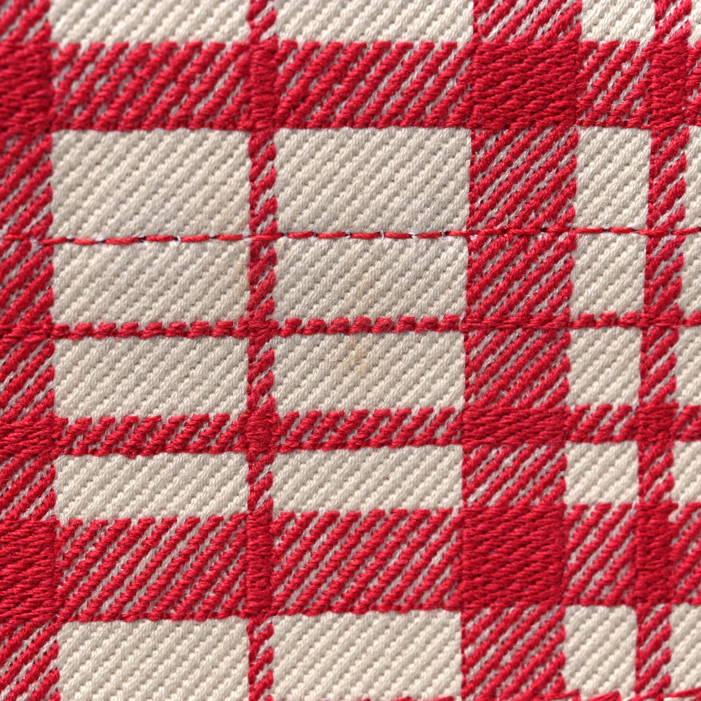 Canvas Embroidered Medium Check'n'Dior Book Tote Red Multicolor