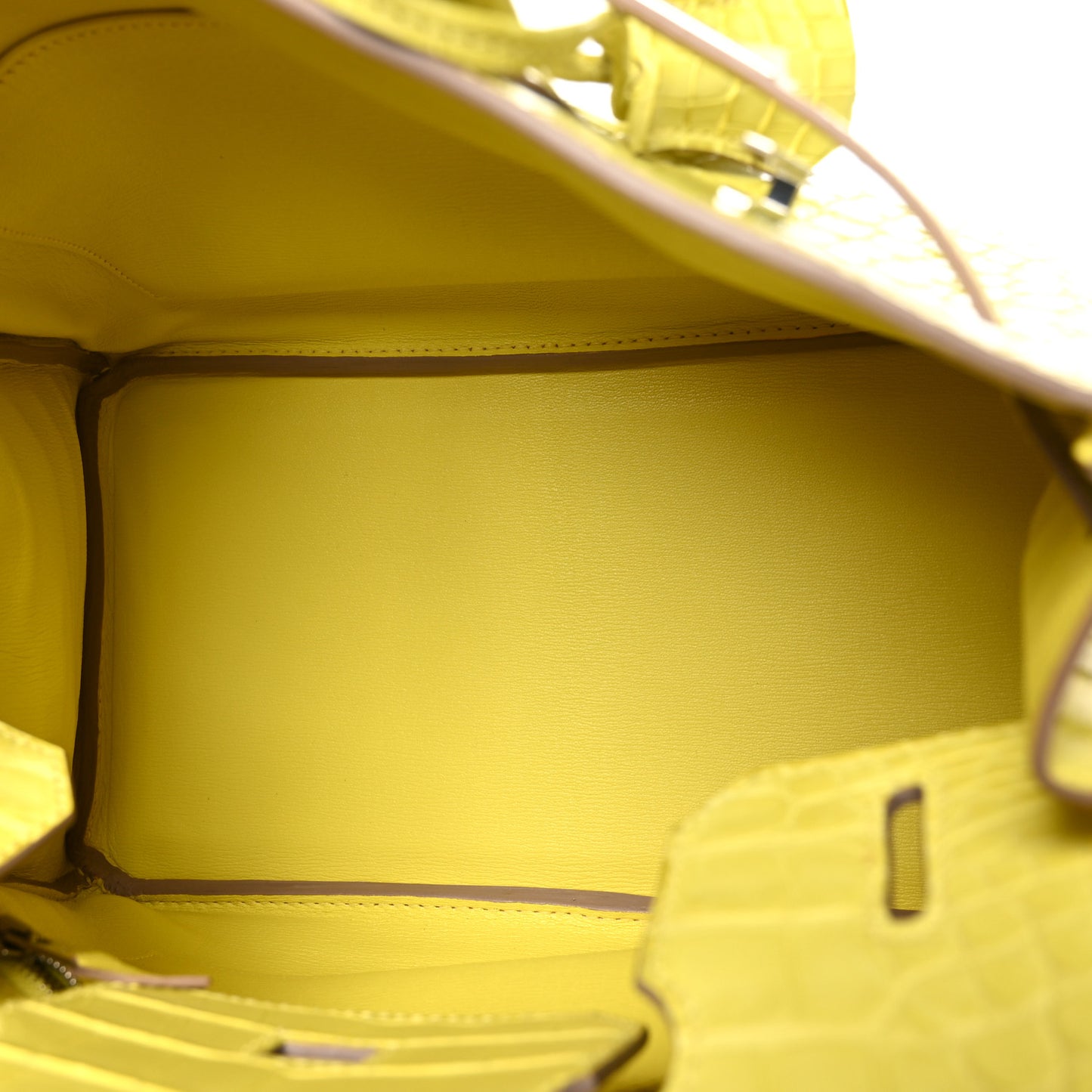 Matte Alligator Birkin 30 Lime