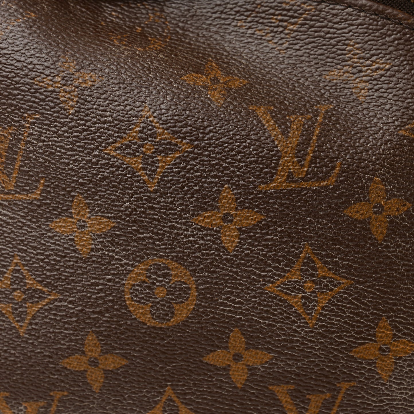 Monogram Palm Springs Backpack MM