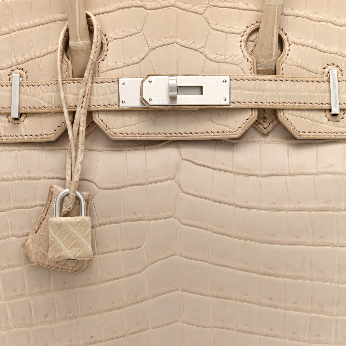 Matte Niloticus Crocodile Birkin 30 Parchemin