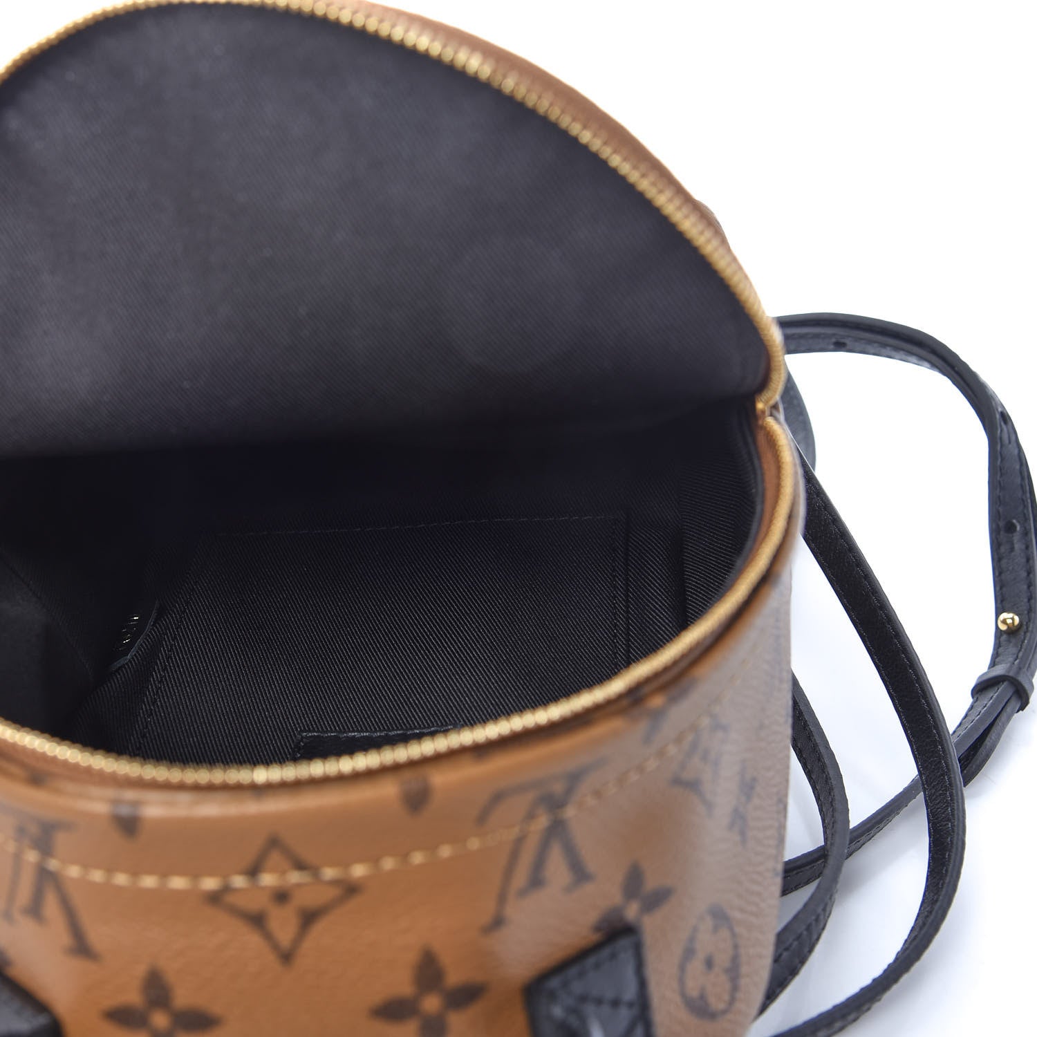 Louis Vuitton Reverse Monogram Palm Springs Backpack Mini 5 of 11