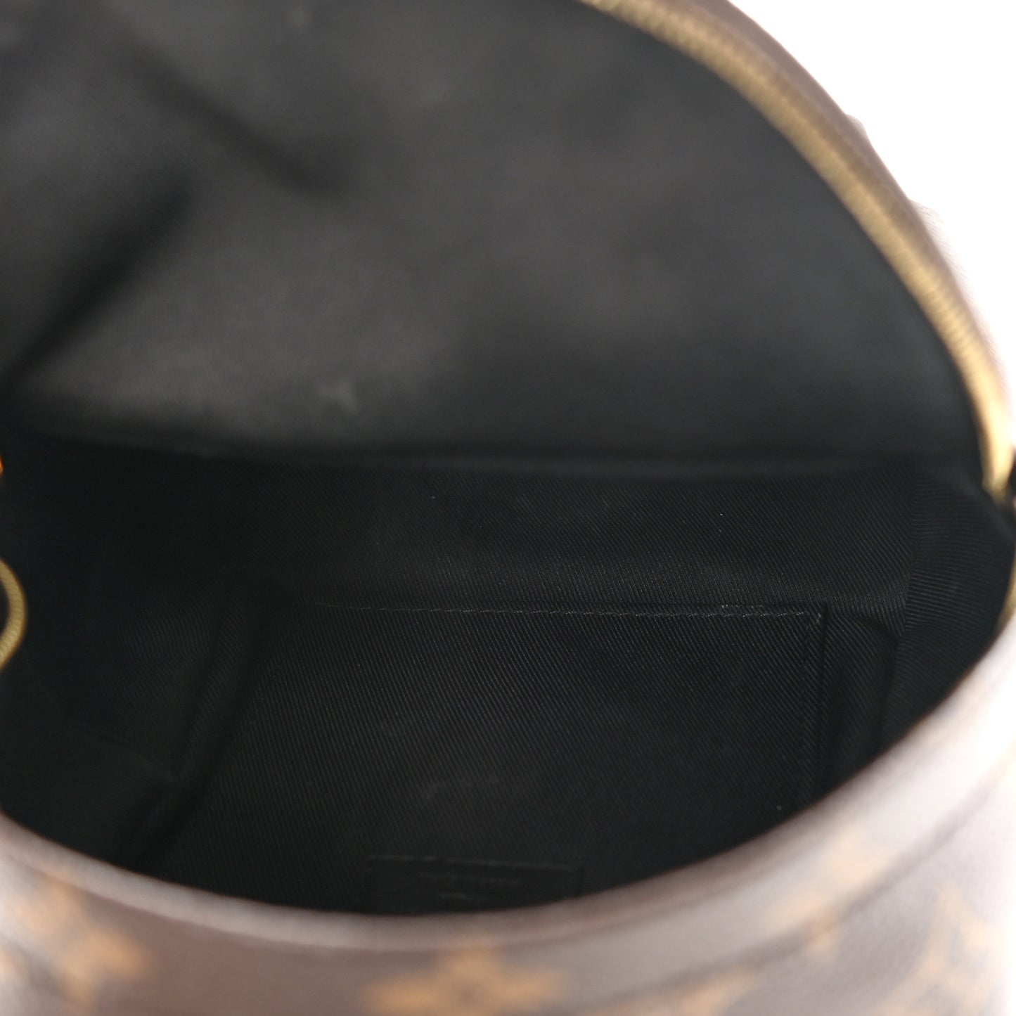 Monogram Palm Springs Backpack Mini