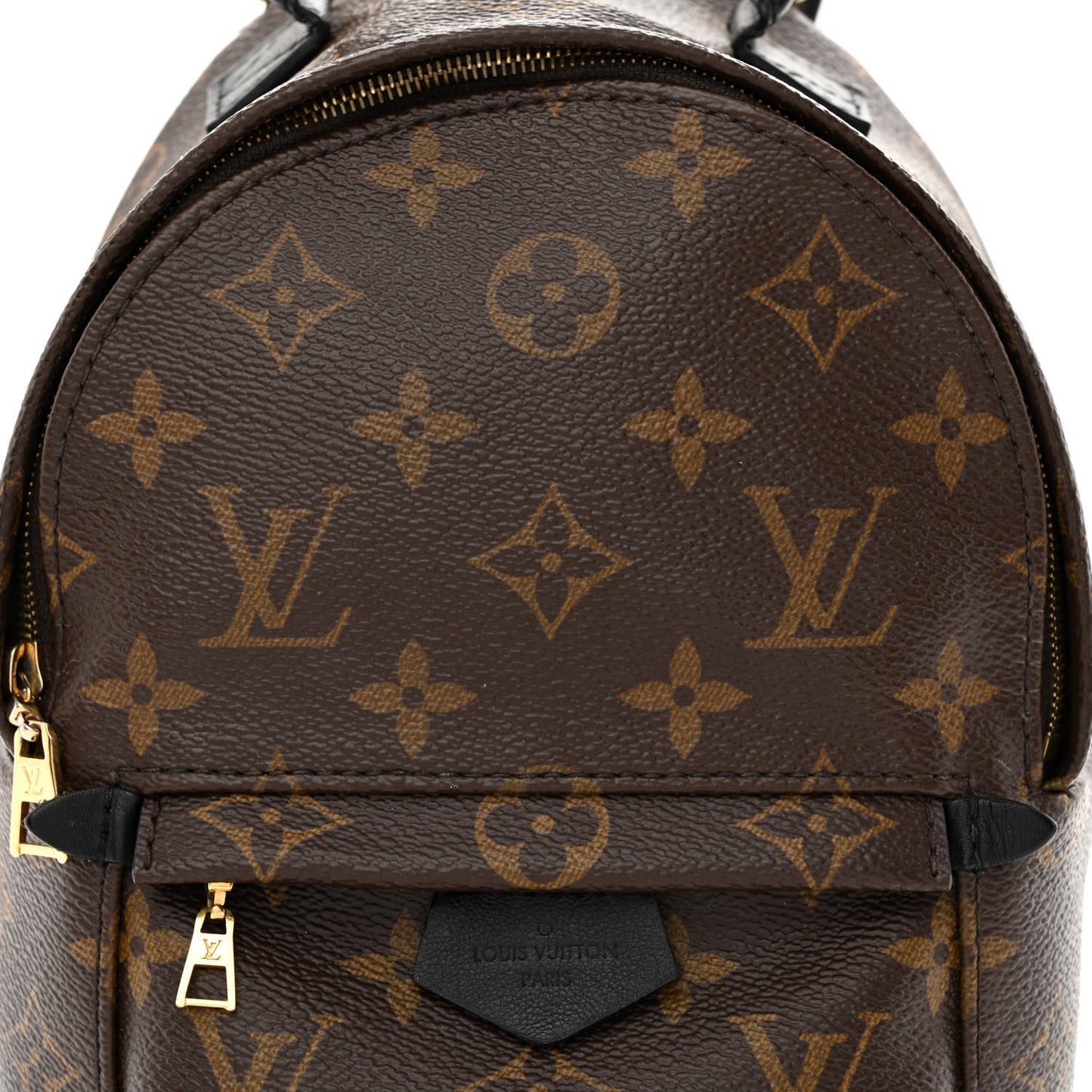 Monogram Palm Springs Backpack Mini