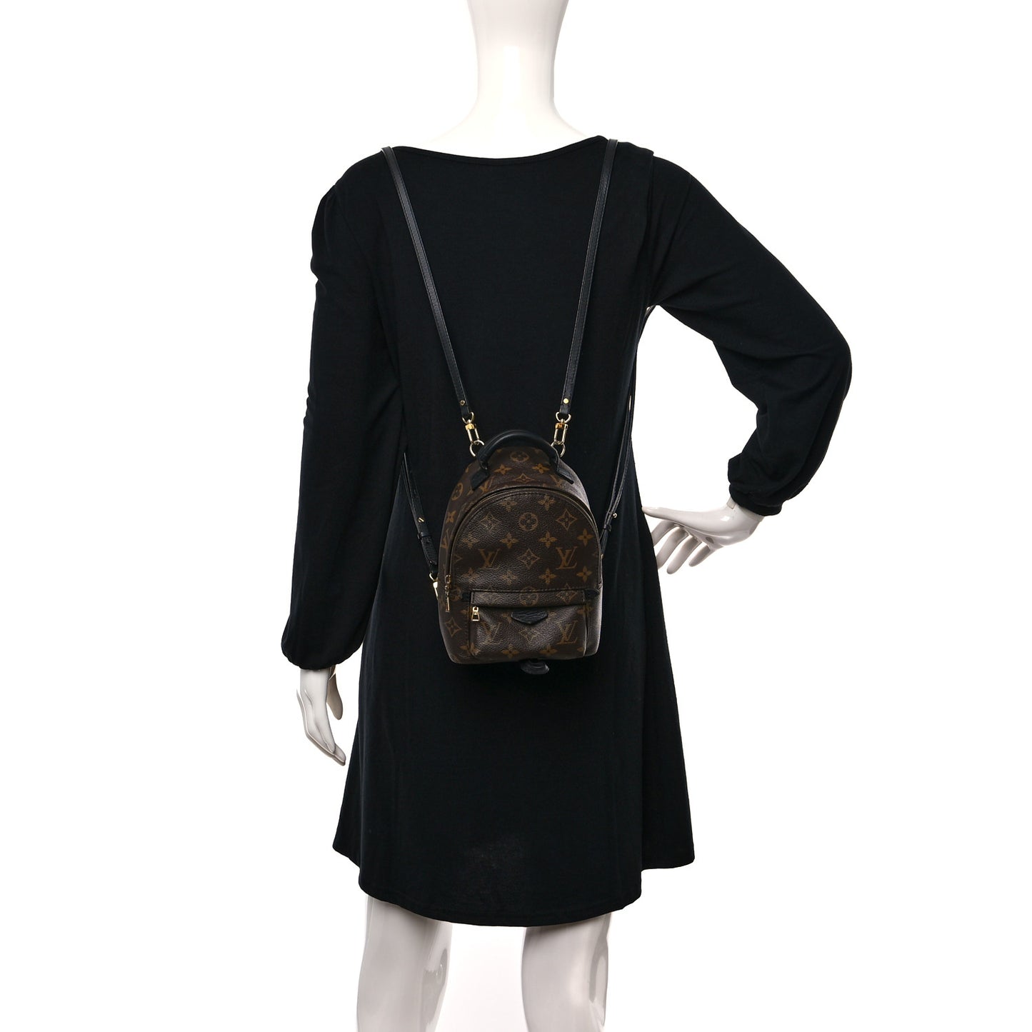 Monogram Palm Springs Backpack Mini