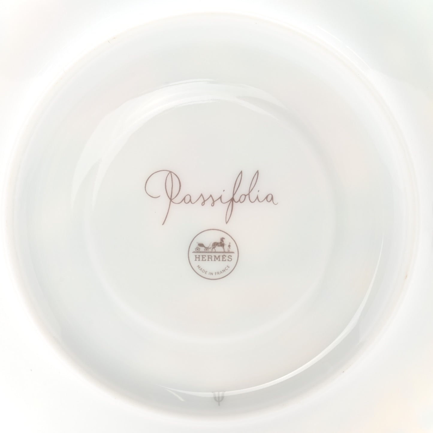 Porcelain Passifolia Tea Cup And Saucer