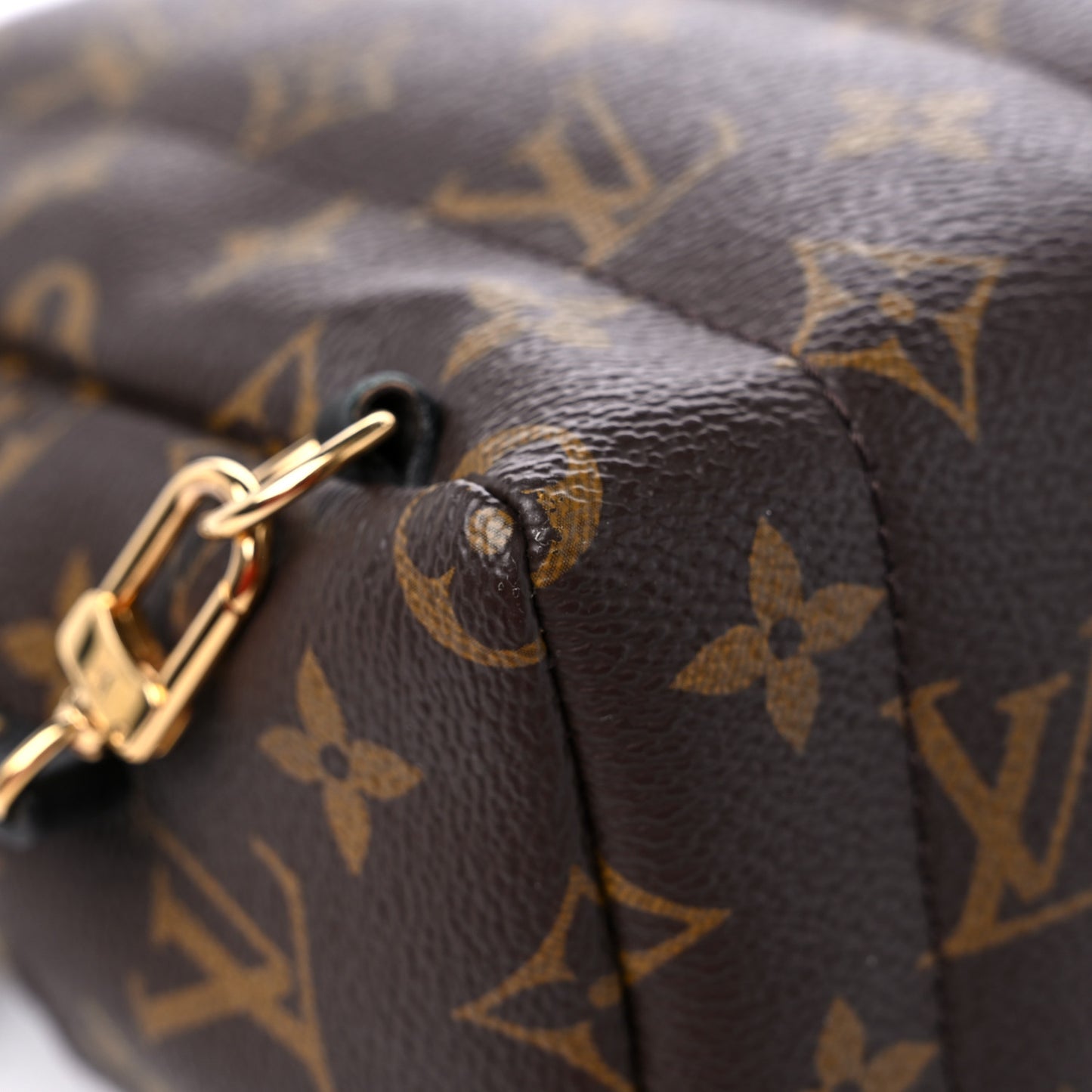 Monogram Palm Springs Backpack Mini
