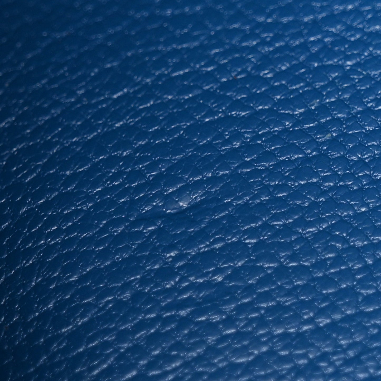 Lizard Birkin 25 Mykonos