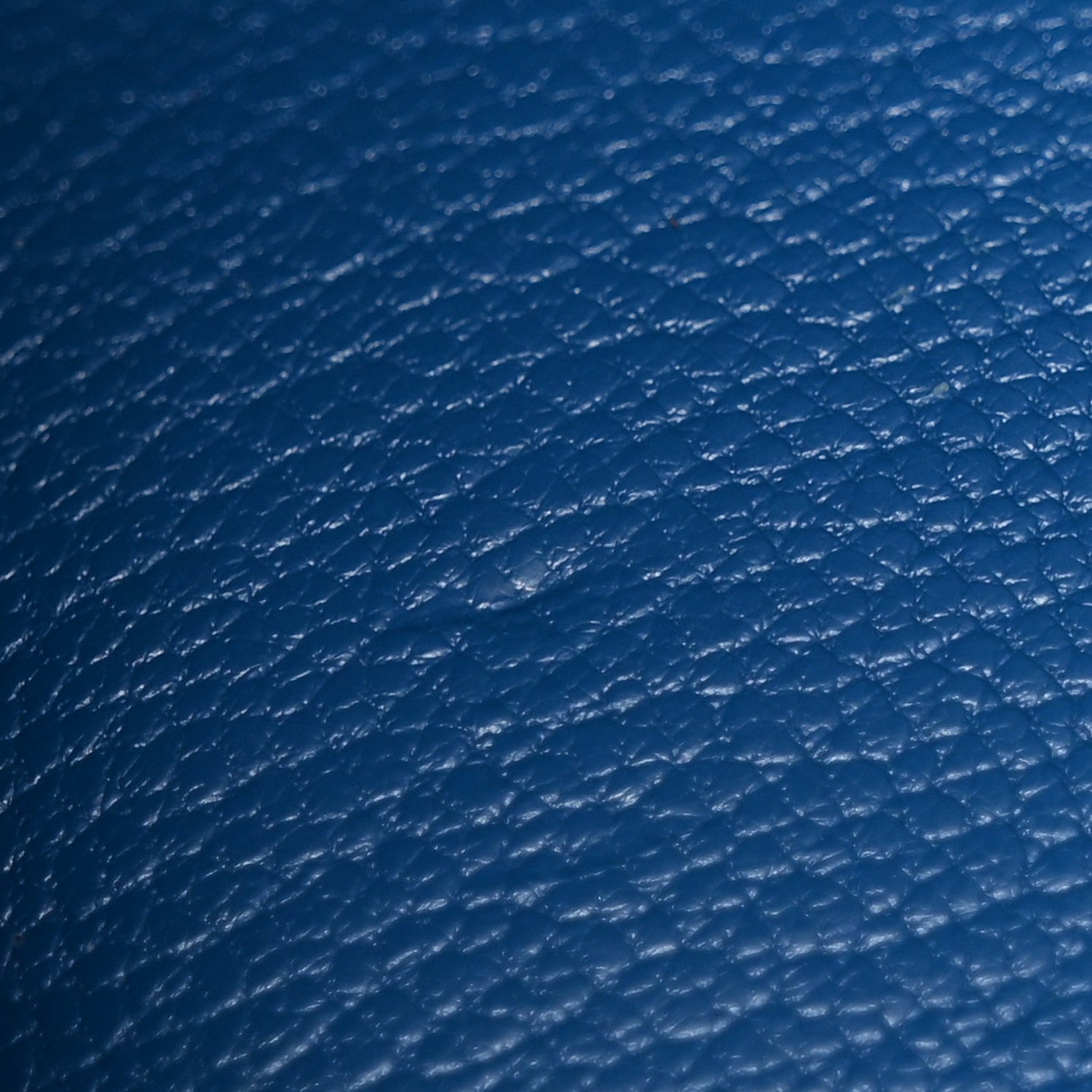 Hermes Lizard Birkin 25 Mykonos 13 of 20