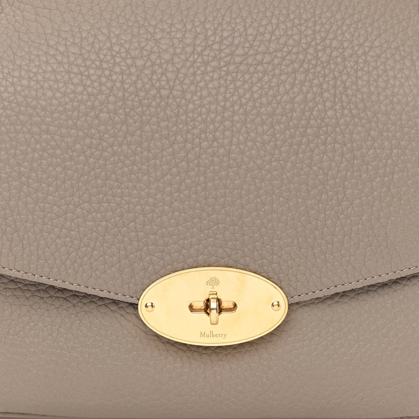 Heavy Grained Calfskin Darley Satchel Clay