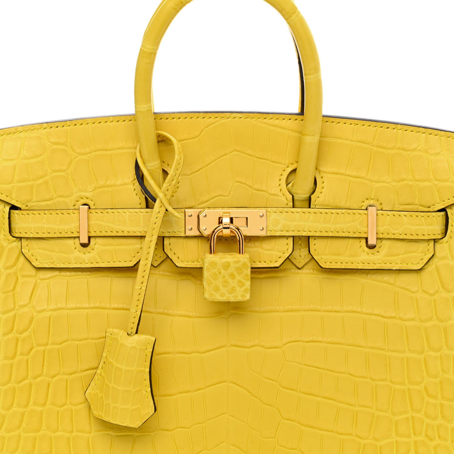 Matte Niloticus Crocodile Birkin 25 Mimosa