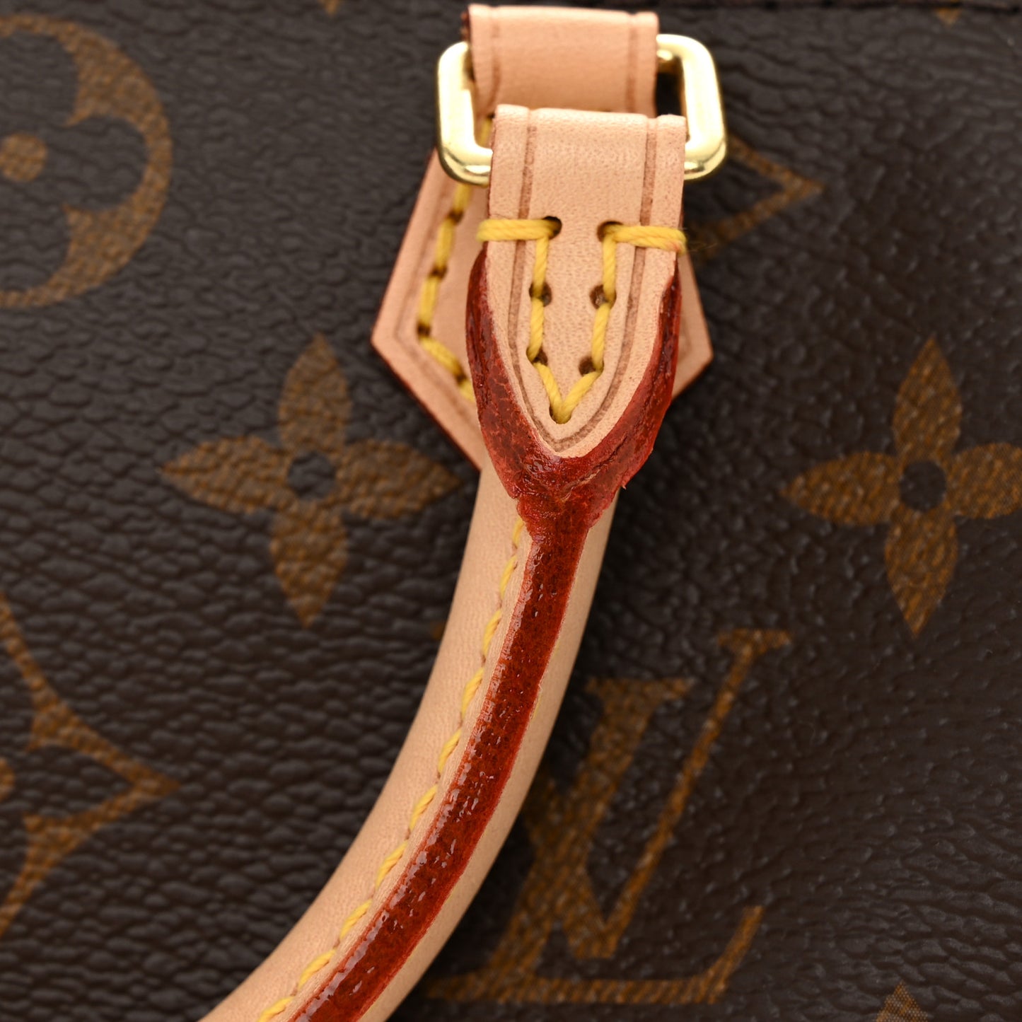 Monogram Nano Speedy