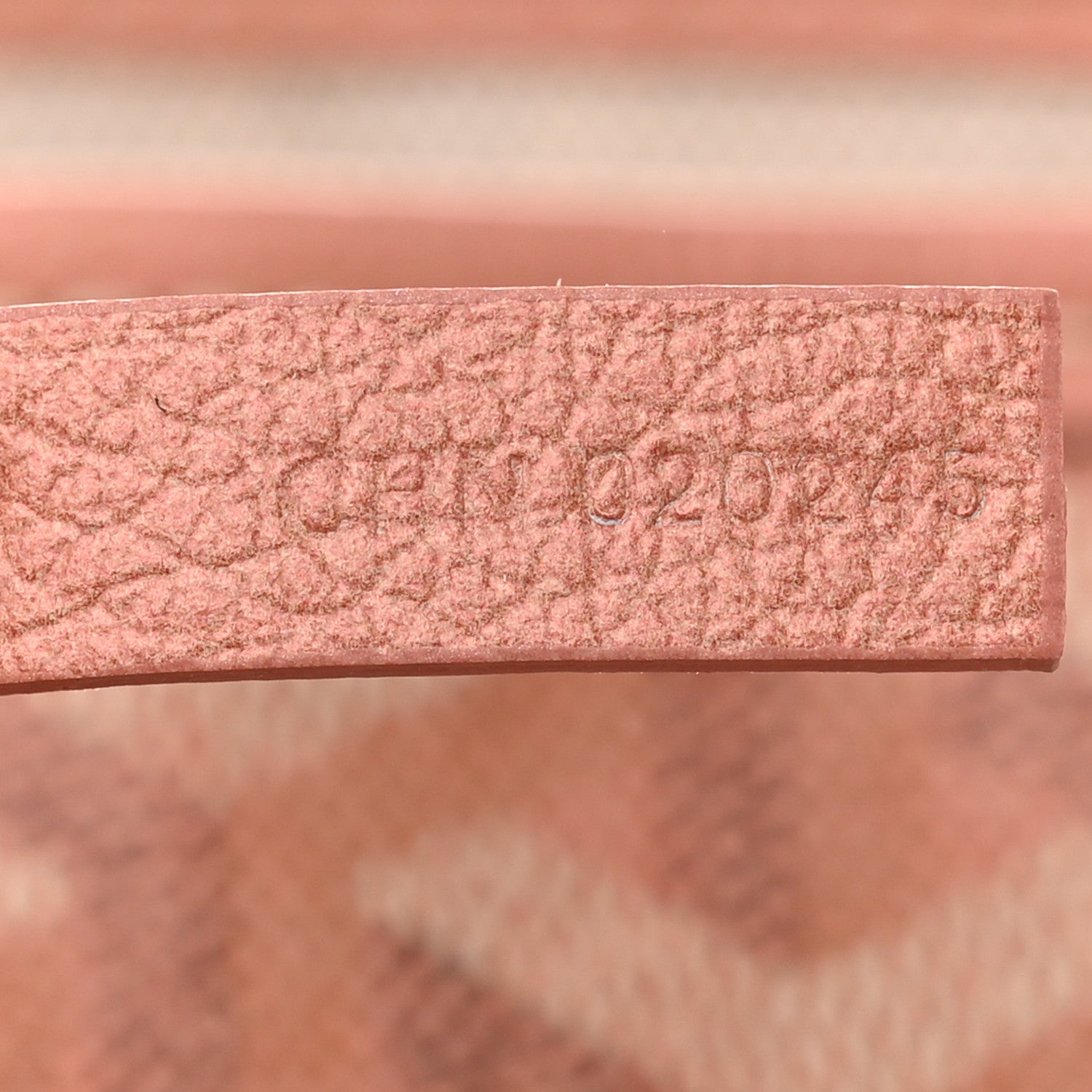Goyard Iridescent Goyardine Saint Louis GM Pearly Coral 9 of 11