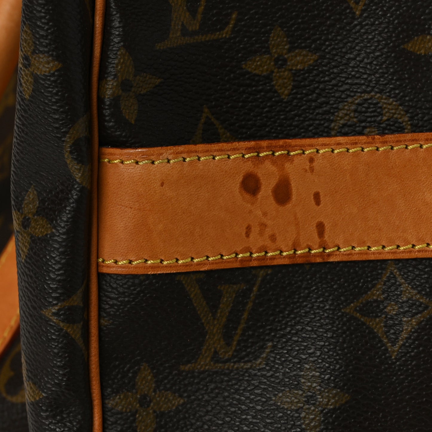 Monogram Carryall