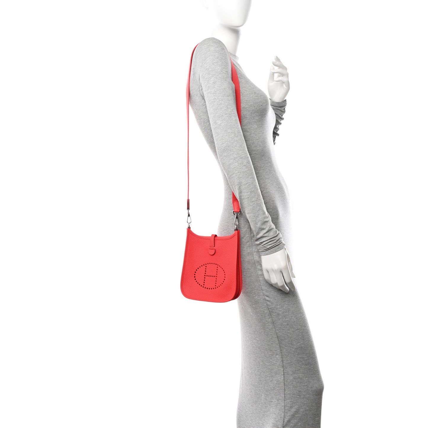 Taurillon Clemence Evelyne TPM Rose Texas Rose Jaipur