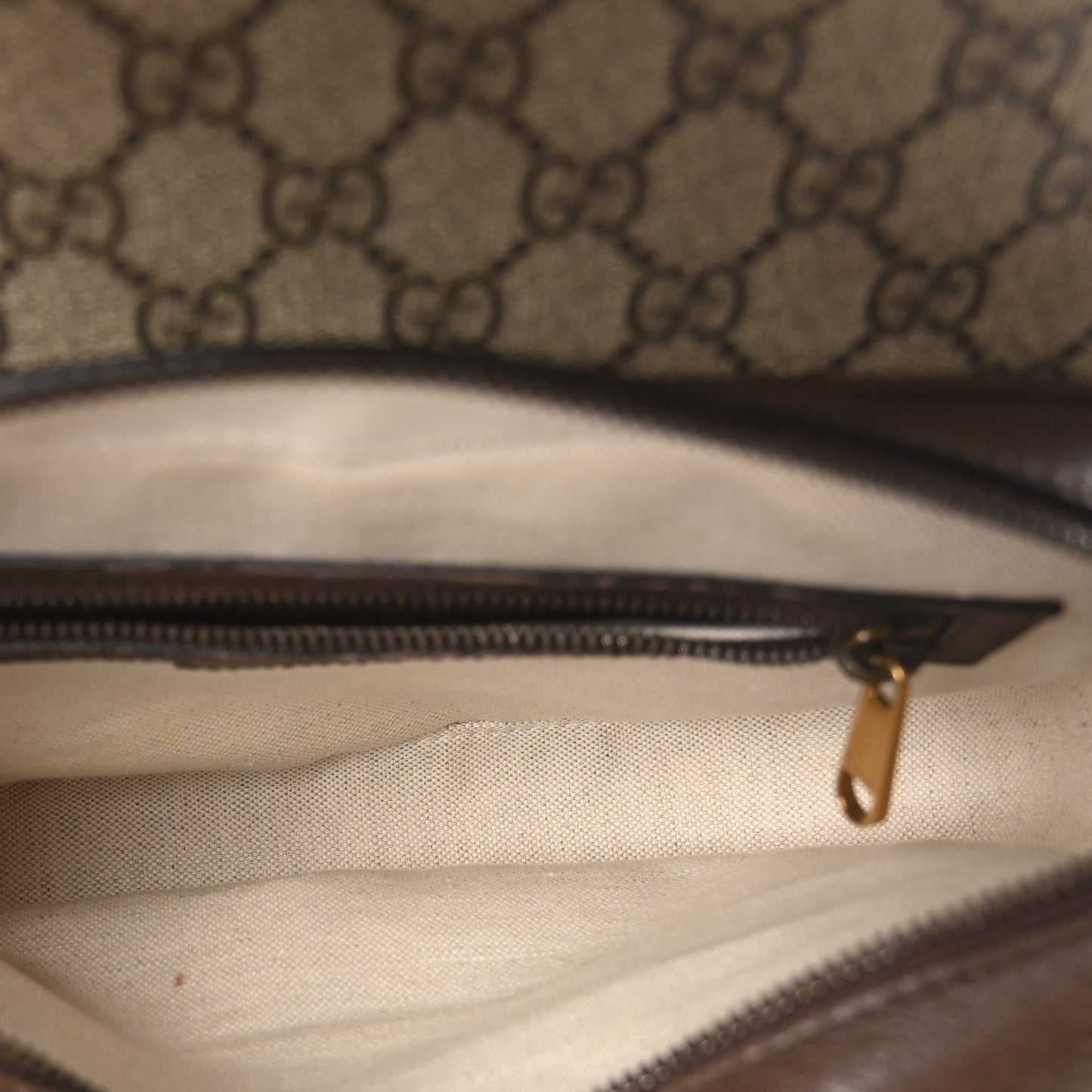 GG Supreme Monogram Textured Dollar Calfskin Web Ophidia Flap Shoulder Bag Beige Ebony New Acero