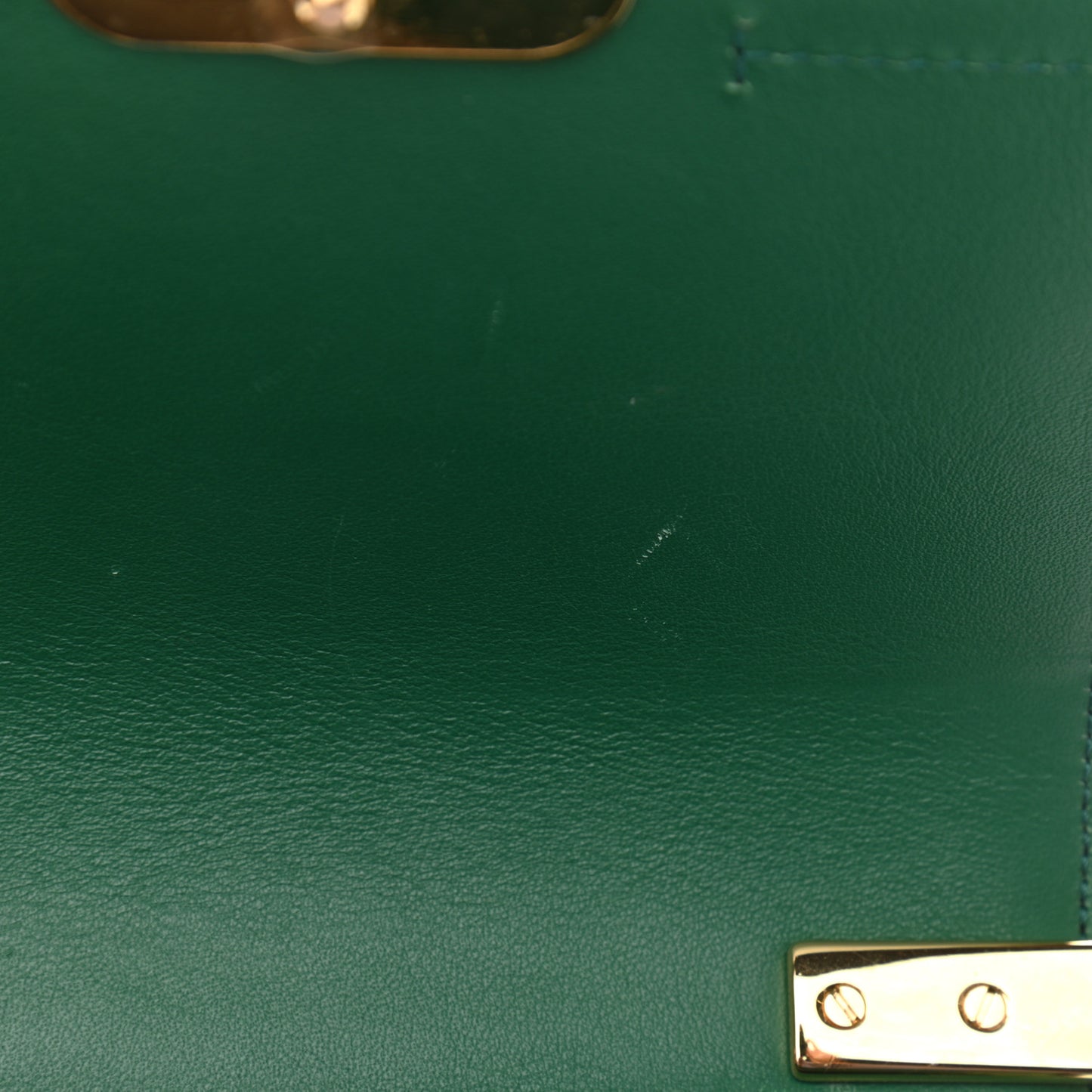 Calfskin Crocodile Embossed Mini C Double Carry Woodsy Green