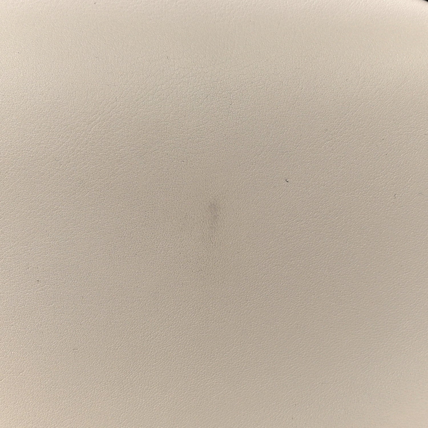 Loewe Calfskin Small Puzzle Edge Bag Ghost Soft White 10 of 10