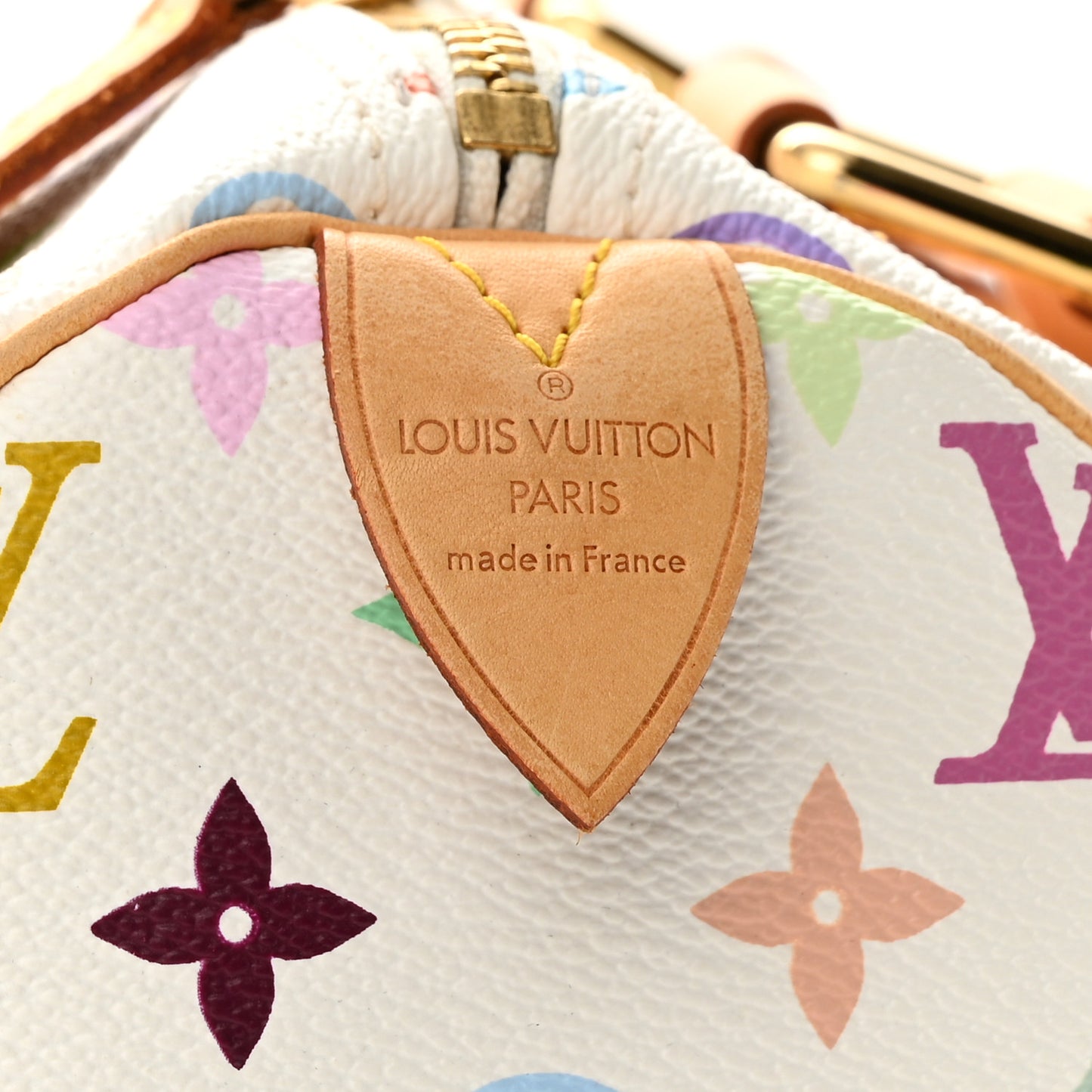 Monogram Multicolor Speedy 30 White
