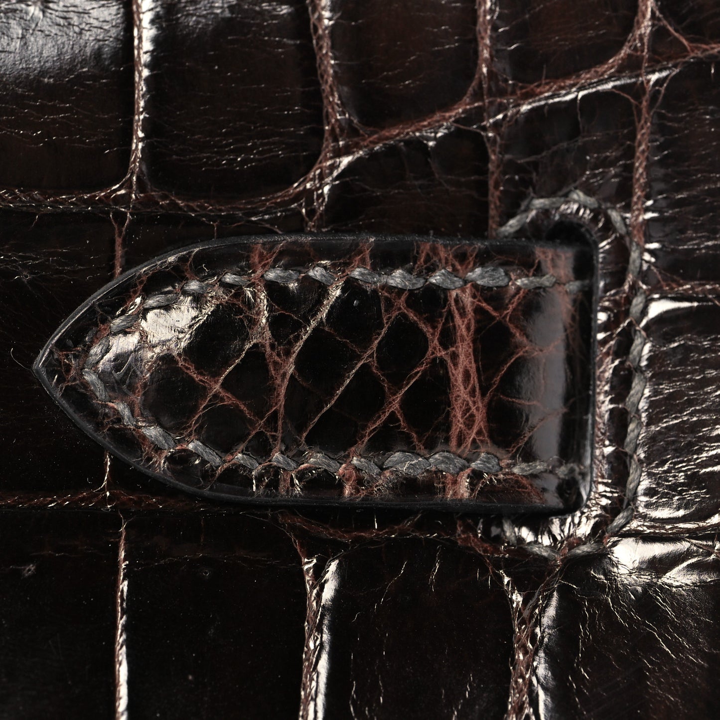 Shiny Niloticus Crocodile Kelly Sellier 28 Macassar