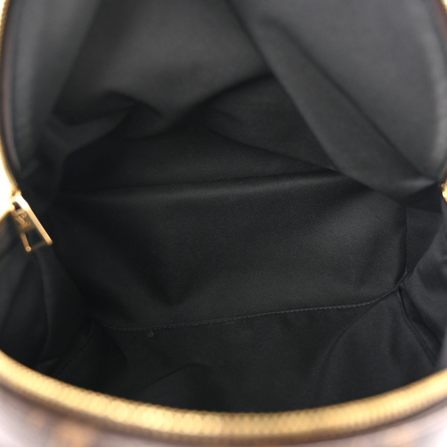 Monogram Palm Springs Backpack MM