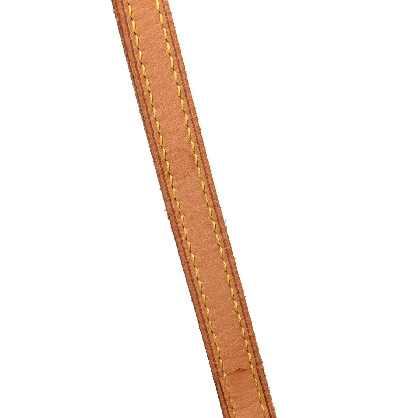 Monogram Papillon 30 with Companion