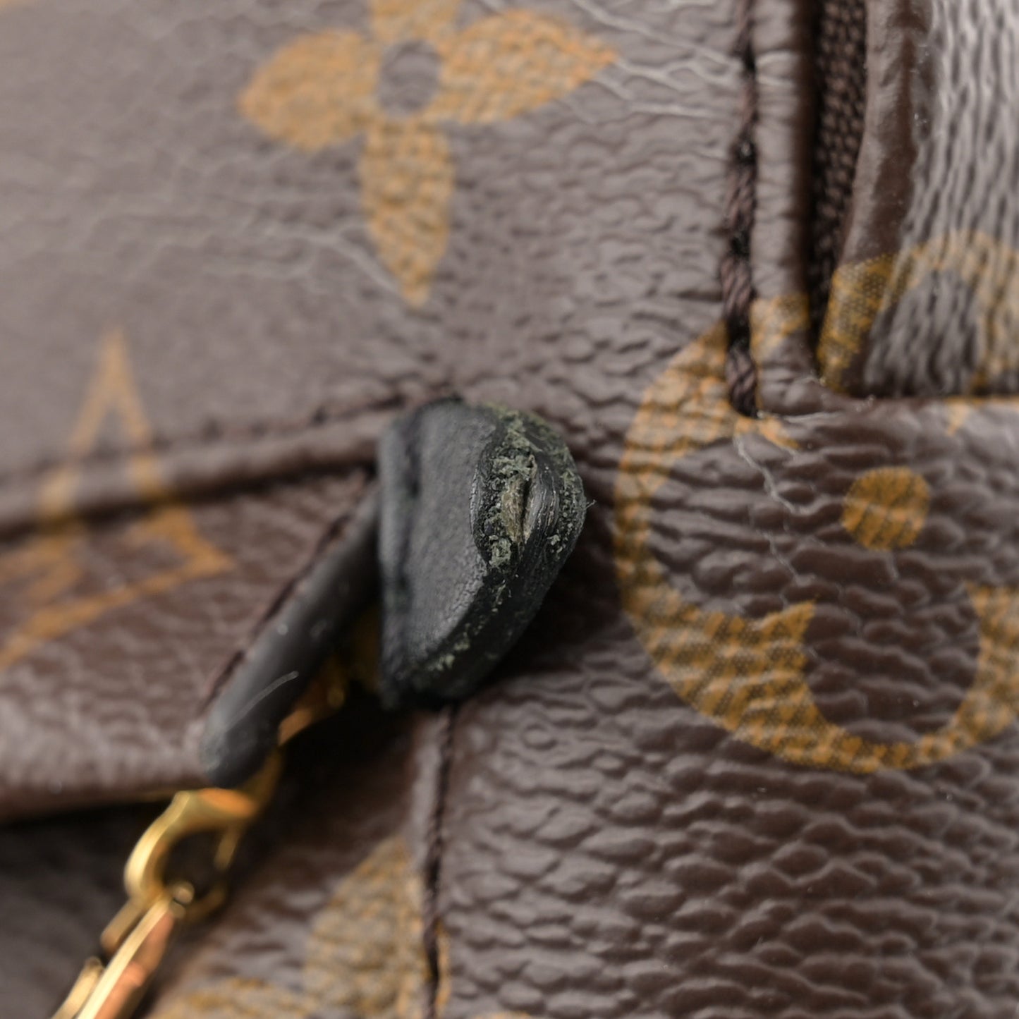 Monogram Palm Springs Backpack Mini