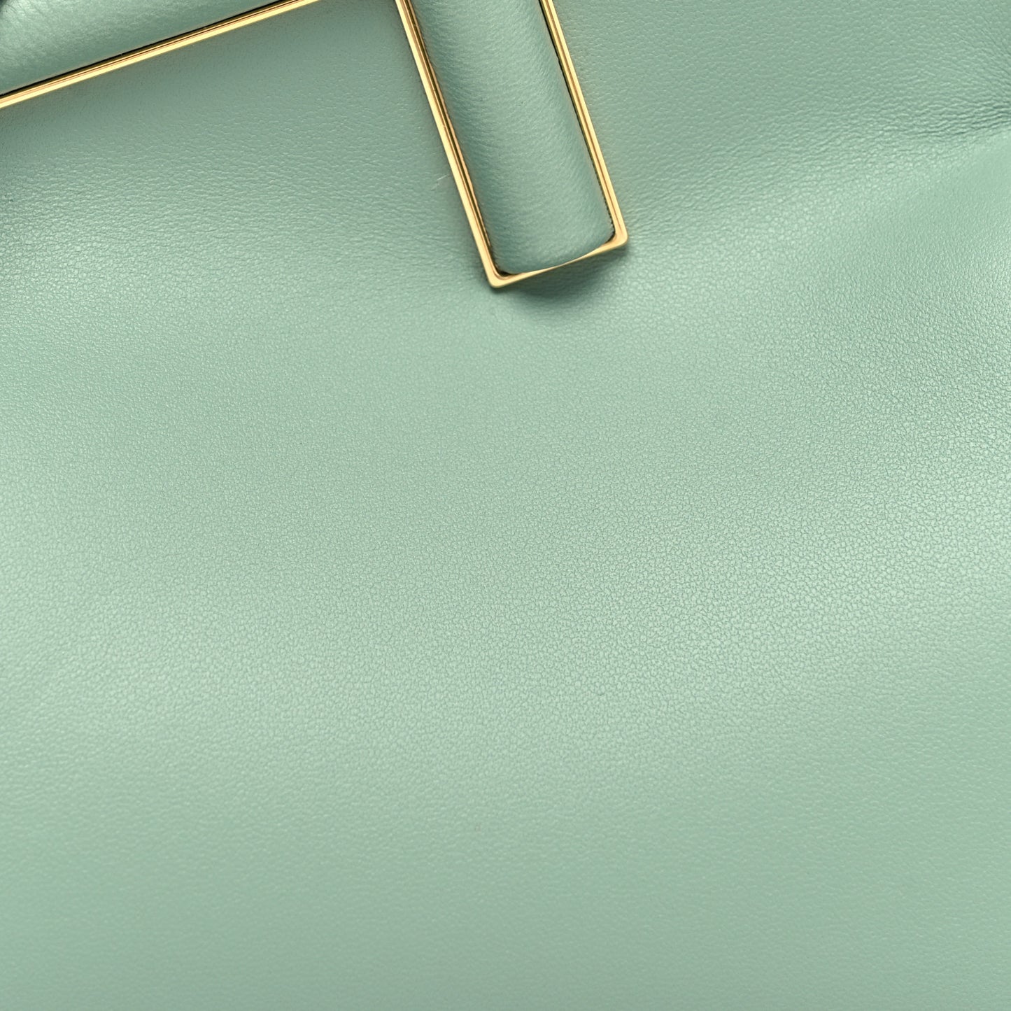 Shiny Nappa Small Fendi First Menta