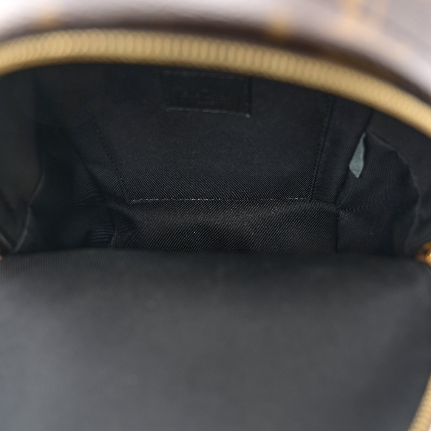 Monogram Palm Springs Backpack Mini
