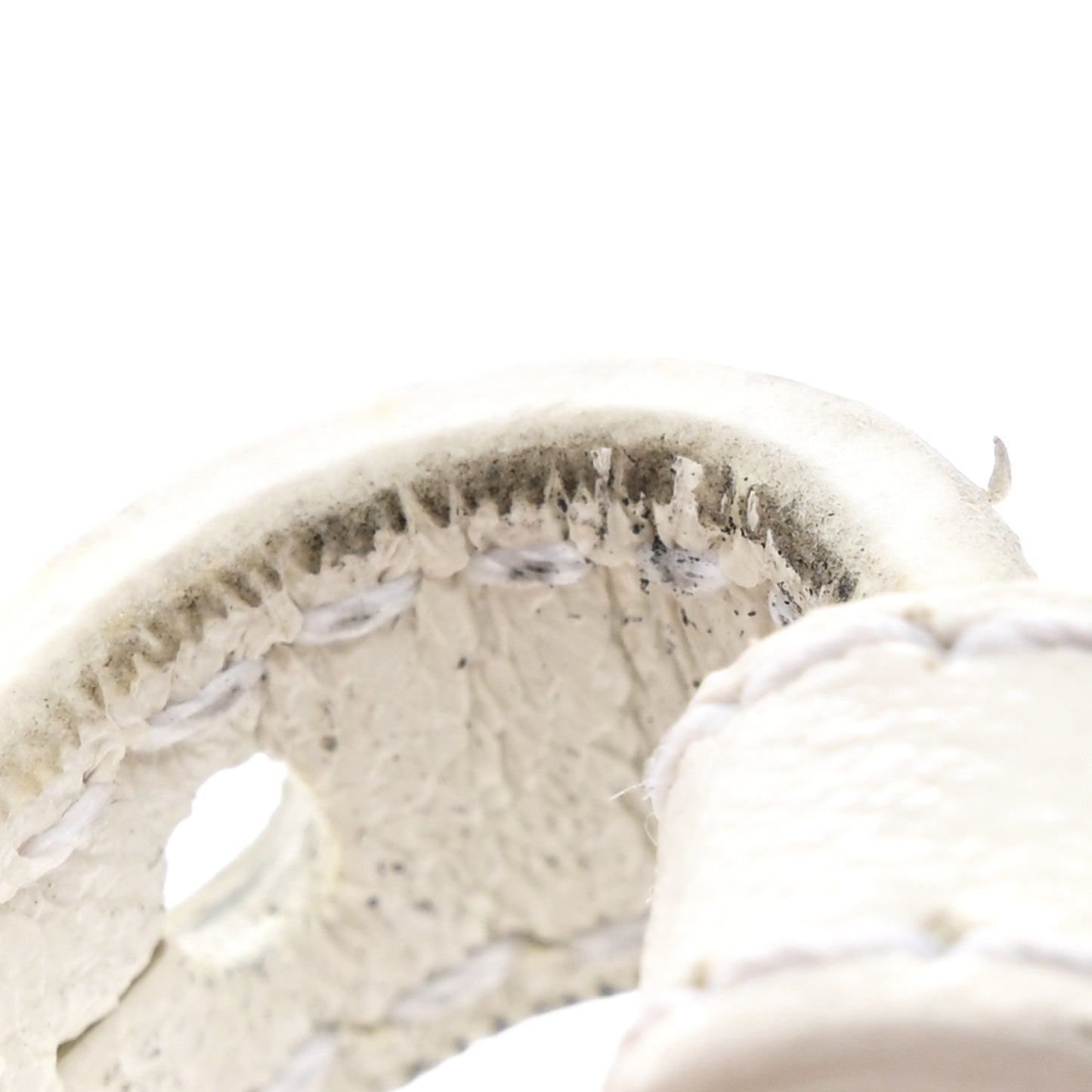 Agneau Arena Le Cagole Mini Purse With Chain Optic White