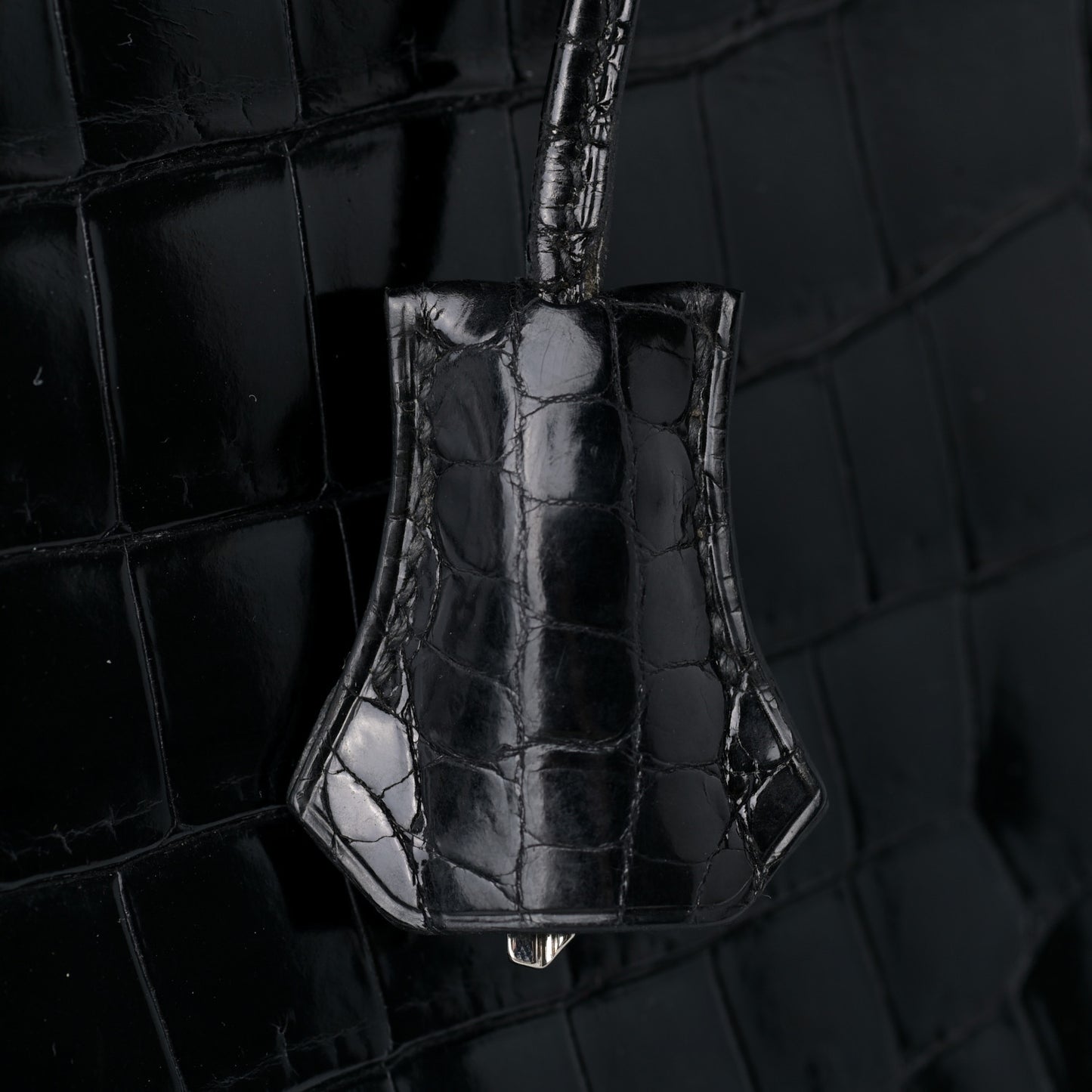 Shiny Niloticus Crocodile Birkin 35 Black