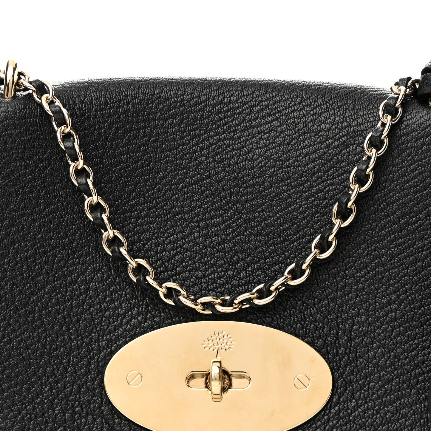 Glossy Goatskin Small Lily Flap Black
