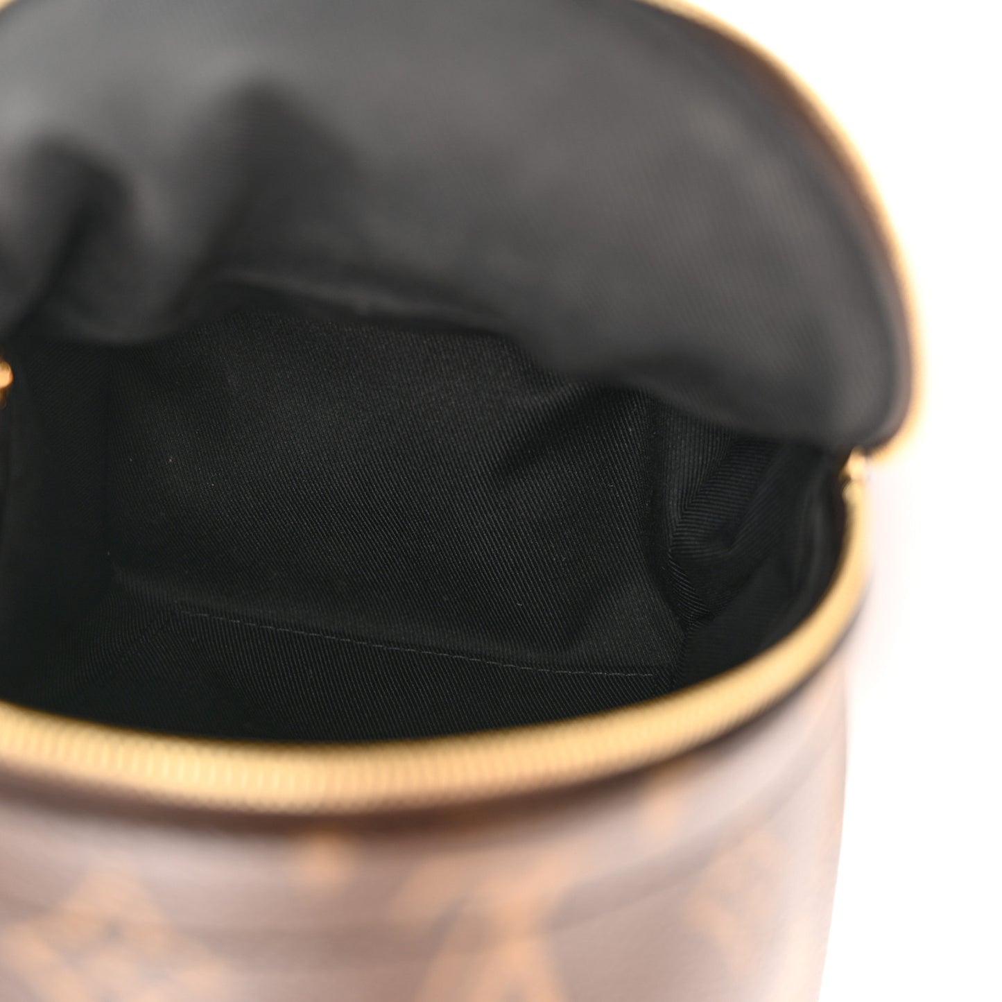 Monogram Palm Springs Backpack Mini