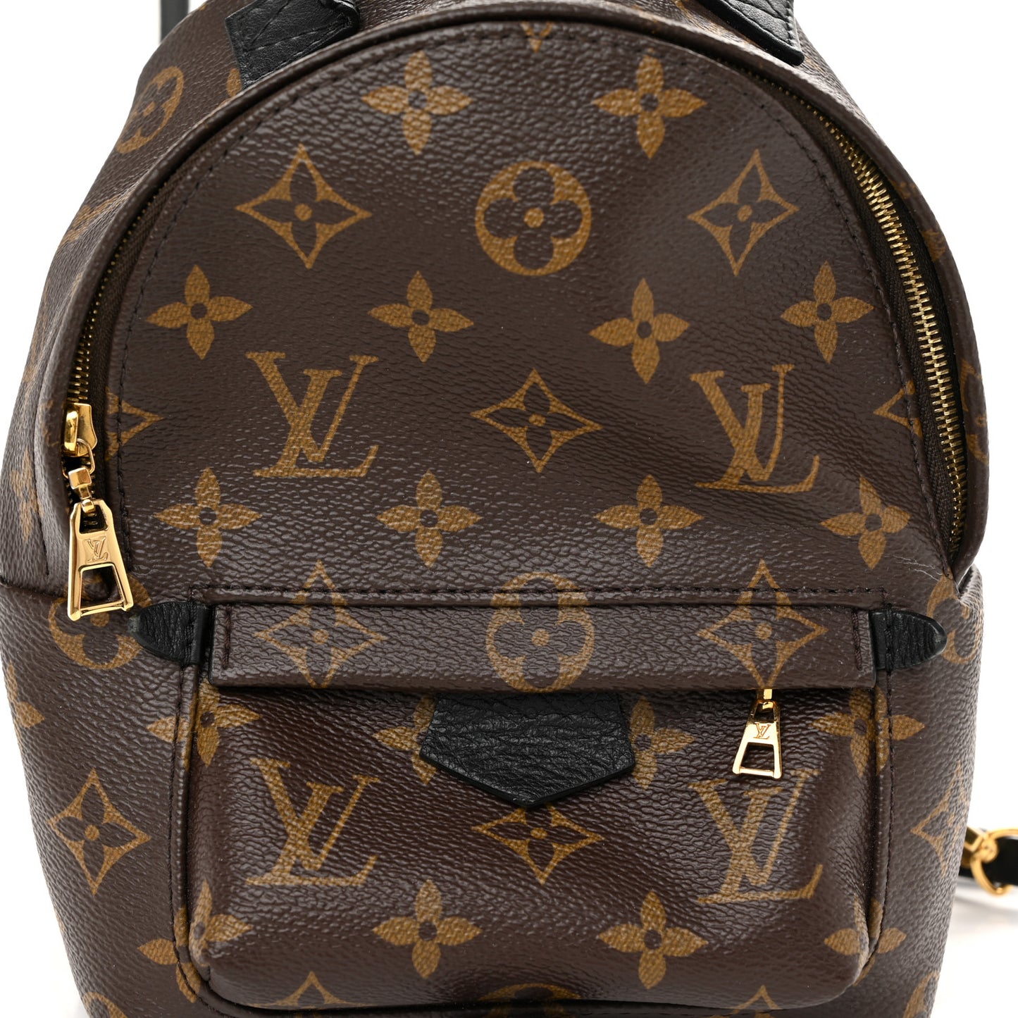 Monogram Palm Springs Backpack Mini