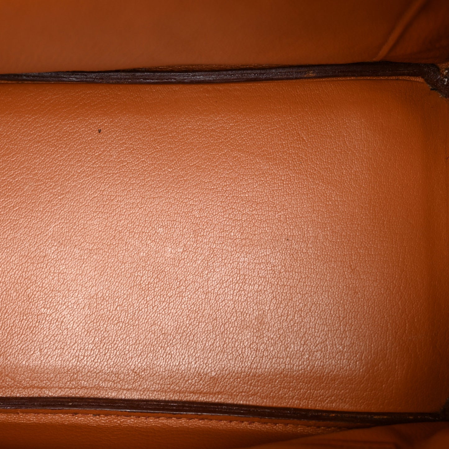 Ostrich Birkin 30 Gold