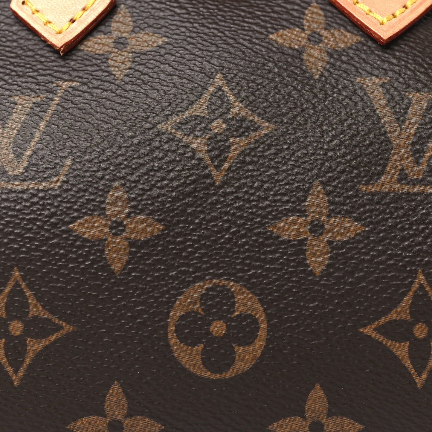 Monogram Nano Speedy