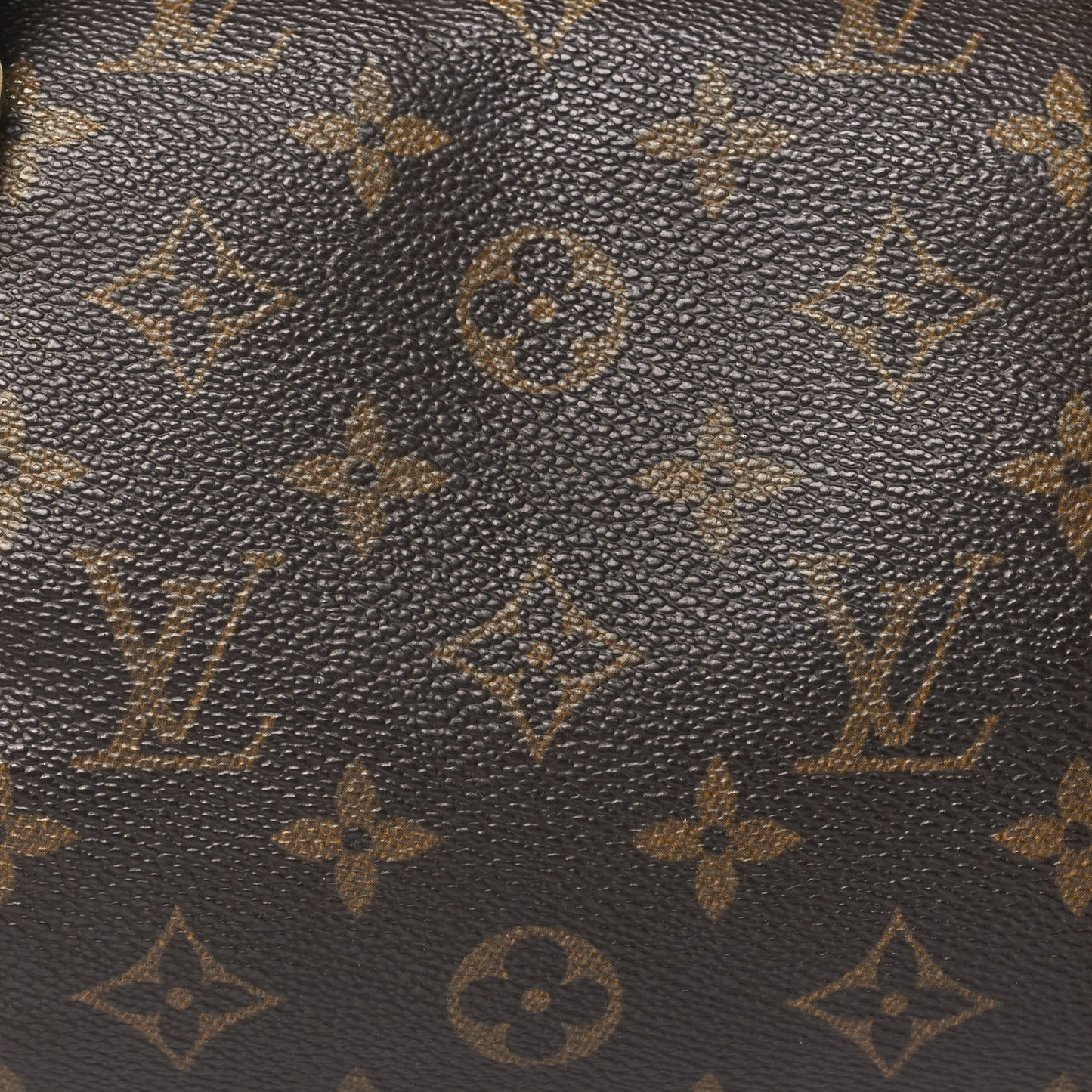 Monogram Papillon 30