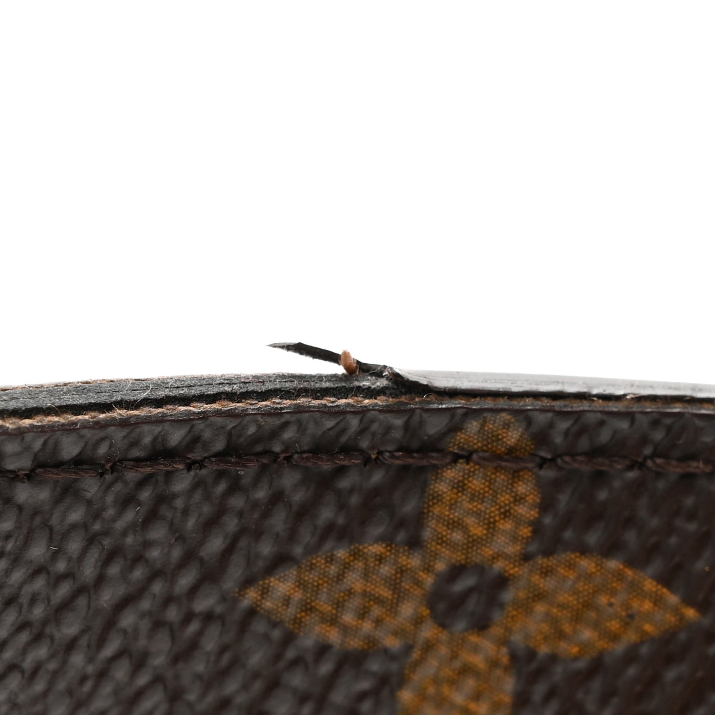 Monogram Eden PM Aurore