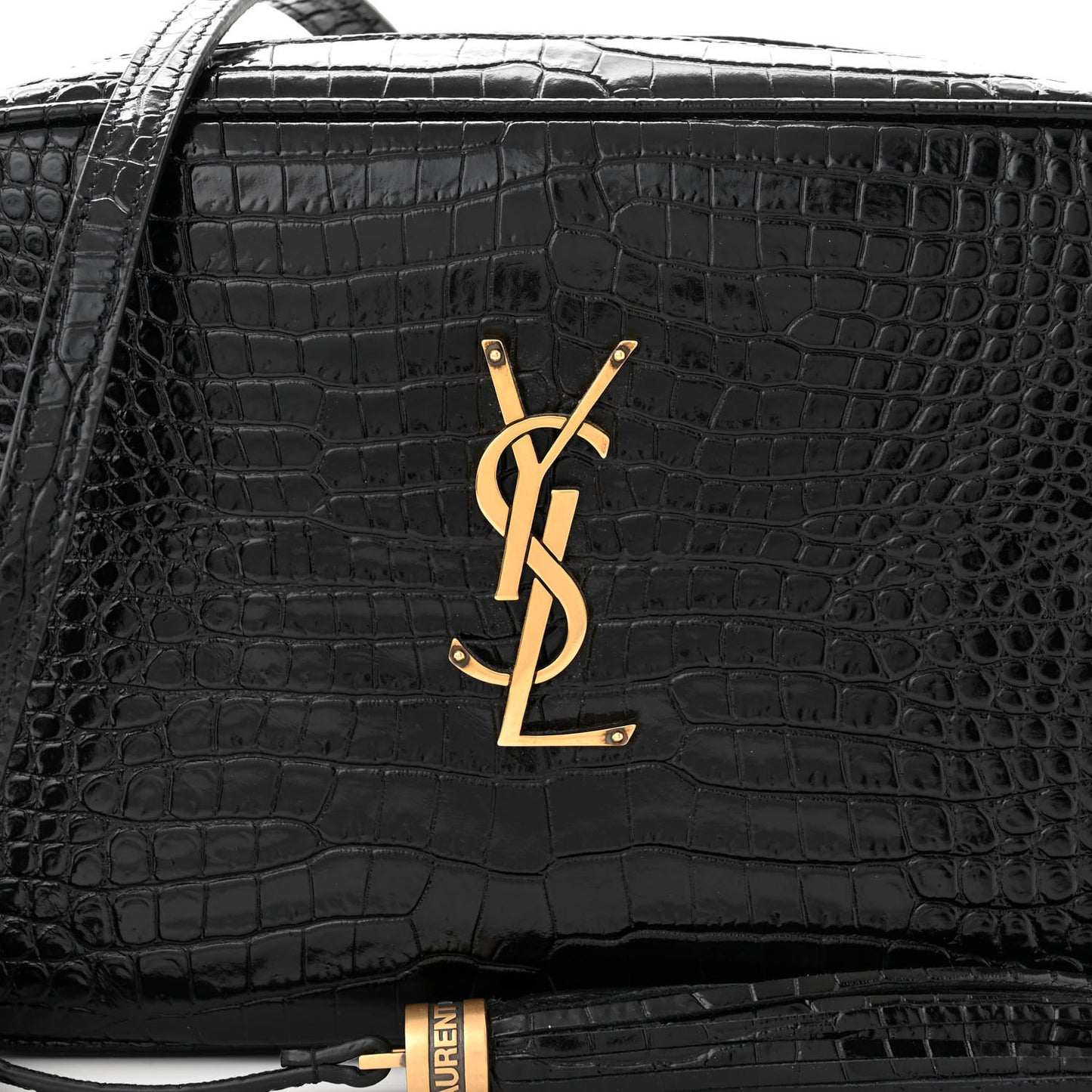 Patent Calfskin Crocodile Embossed Monogram Lou Camera Bag Black