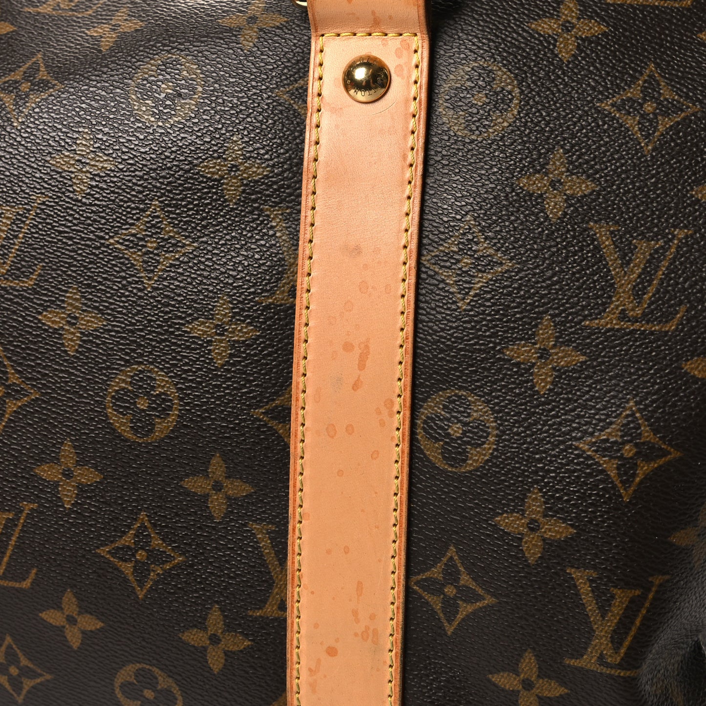 Monogram Carryall