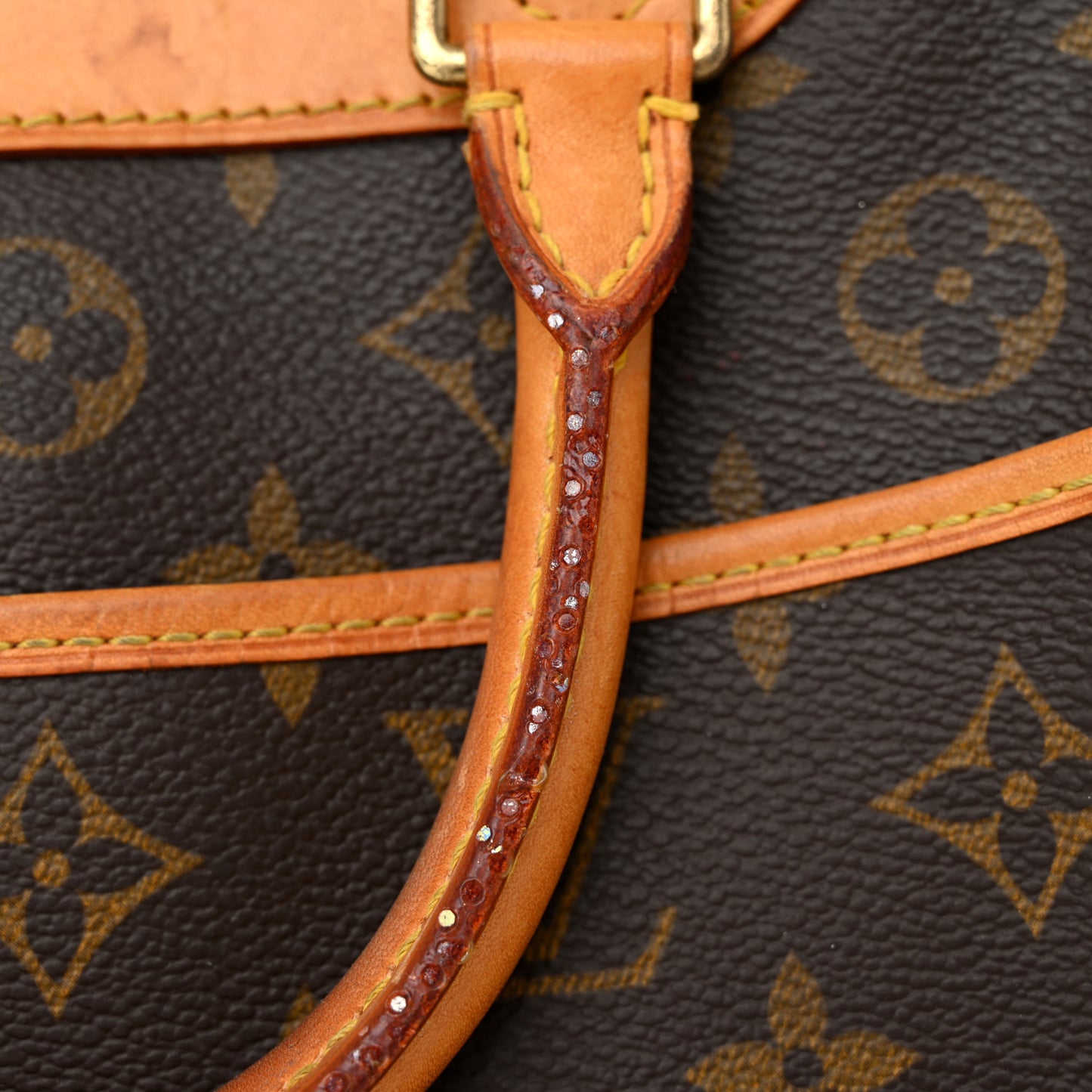 Monogram Trouville