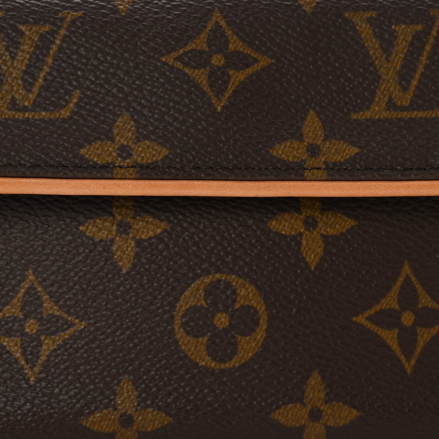 Monogram Pochette Florentine XS