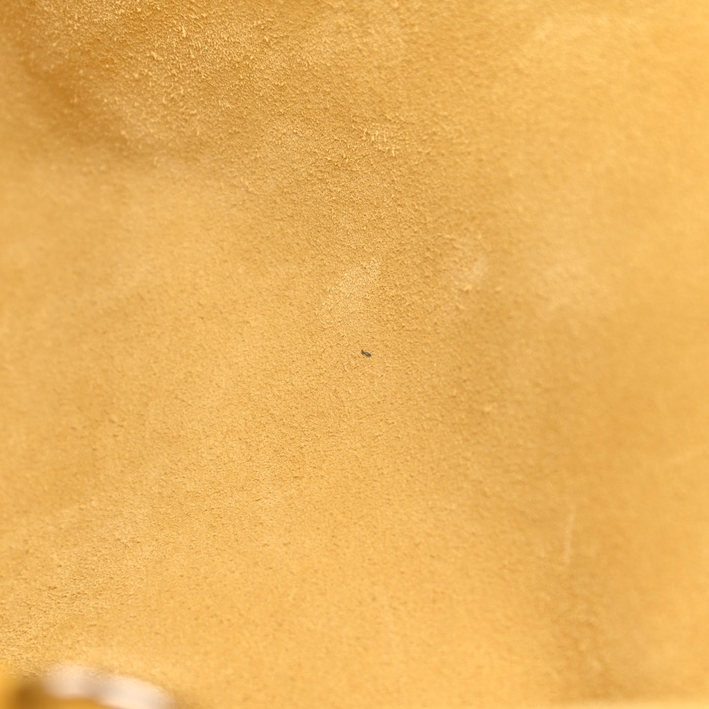 Supple Grained Calfskin Small Big Bag Sunflower