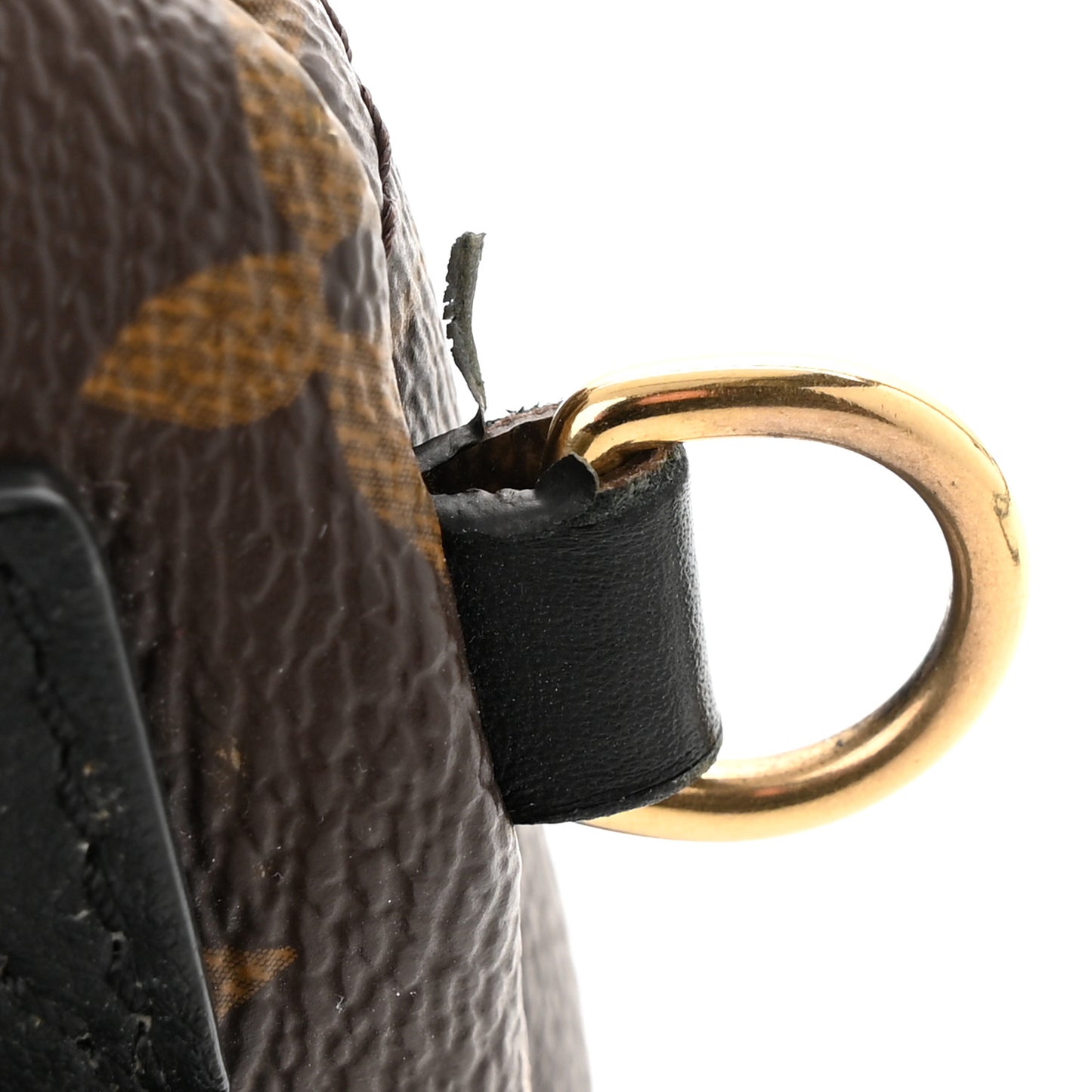 Monogram Palm Springs Backpack Mini