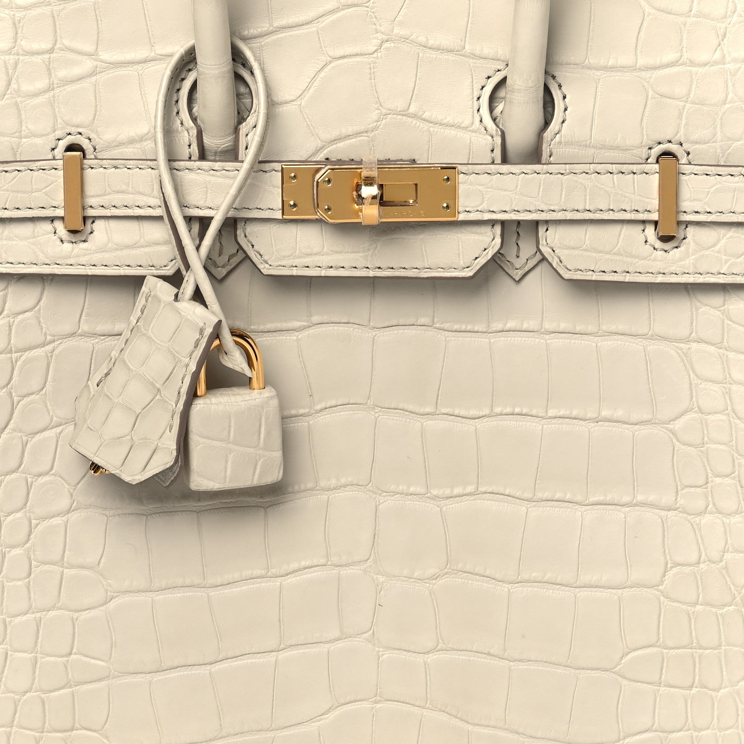 Hermes Matte Alligator Birkin 25 Beton 8 of 11