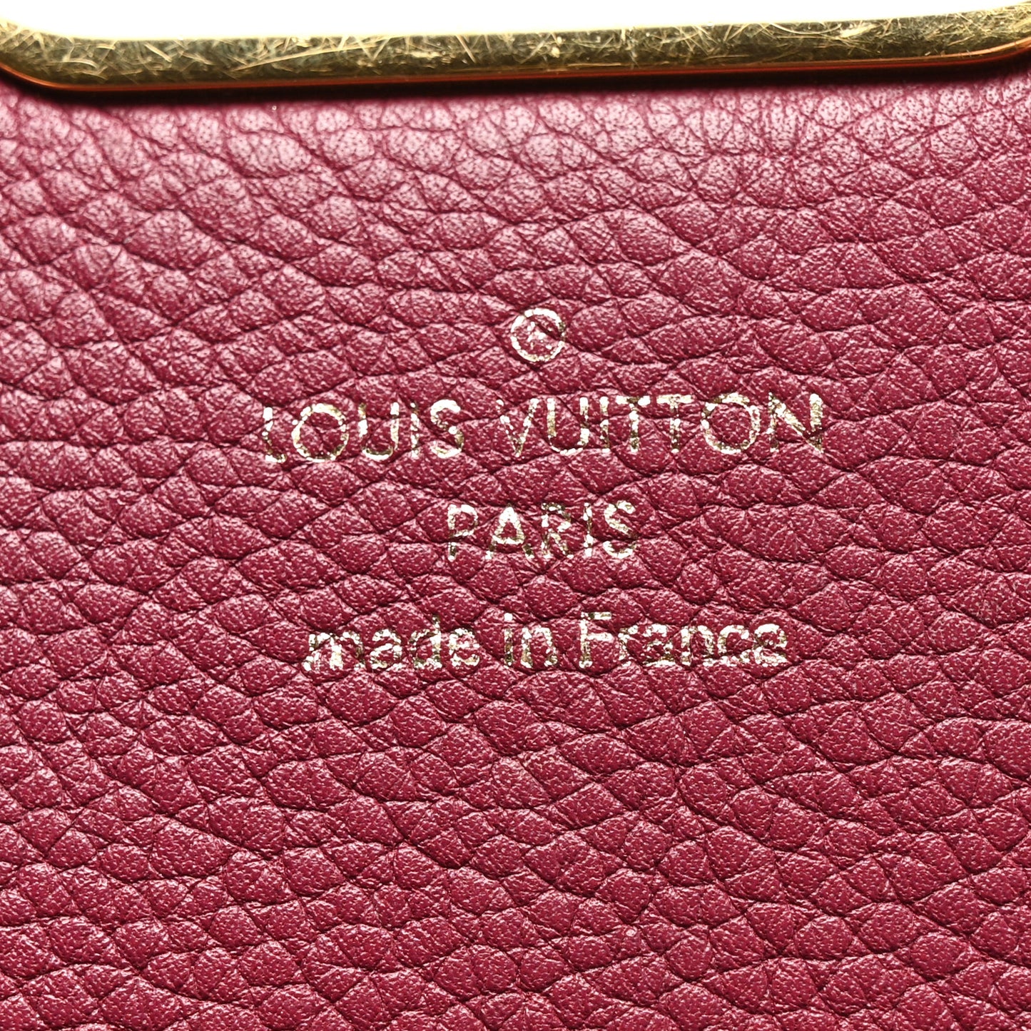 Monogram Eden PM Aurore