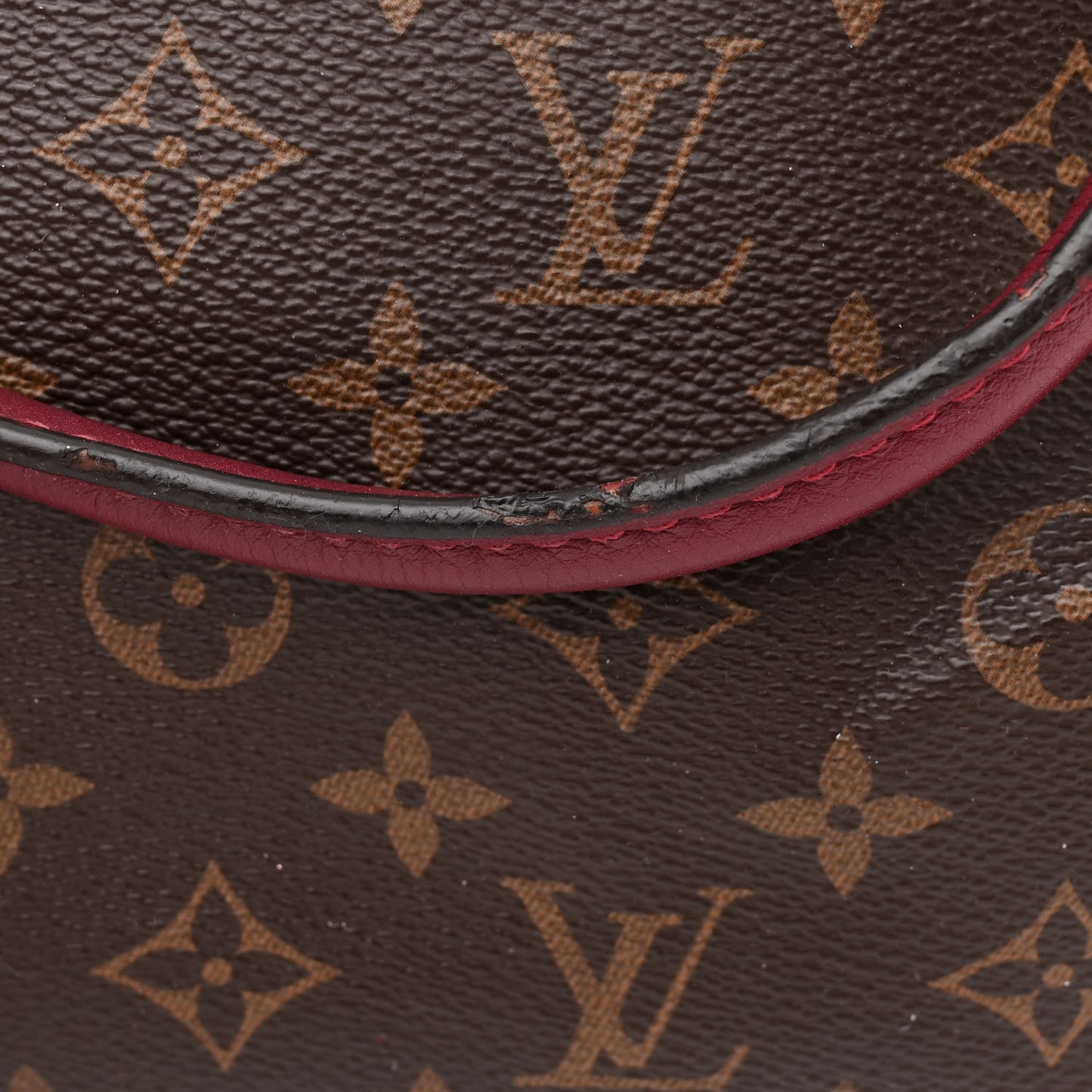 Monogram Pallas Full Raisin