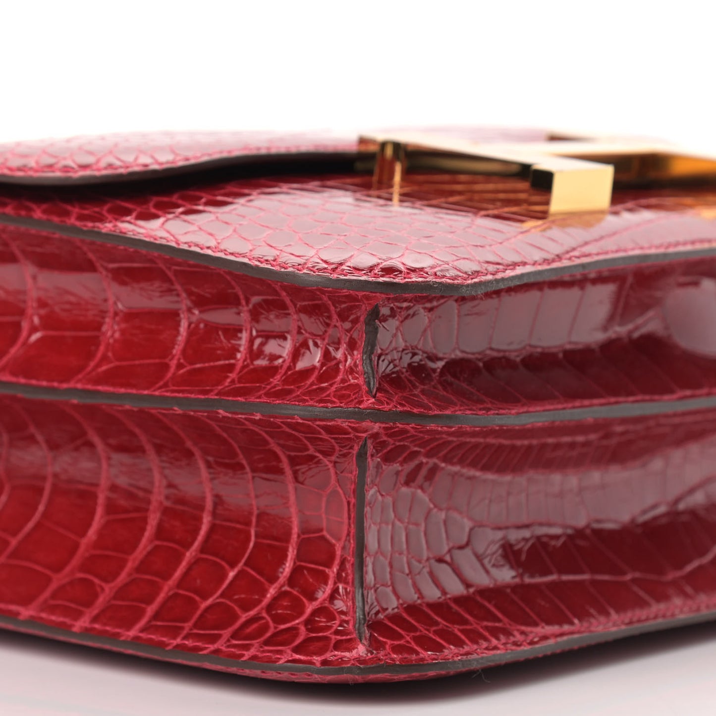 Shiny Alligator Constance 24 Braise