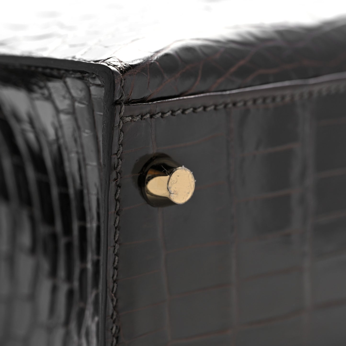 Shiny Niloticus Crocodile Kelly Sellier 28 Macassar