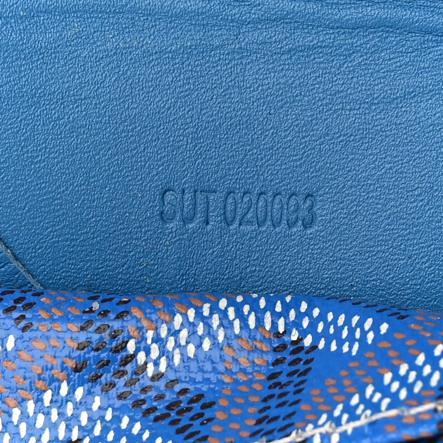 Goyard Goyardine Saint Louis PM Sky Blue 19 of 19